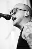 AlkalineTrio_(3).jpg