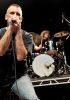 ScreechingWeasel_(17).jpg