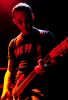 ScreechingWeasel_(6).jpg