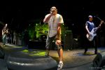 Descendents.jpg