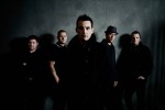 Street Dogs