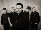 Street Dogs
