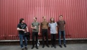 eagulls