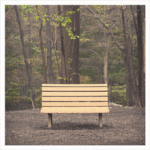 Streetlight Manifesto - The Hands That Thieves