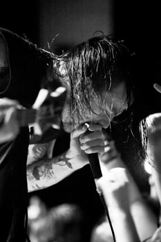 Cancer Bats