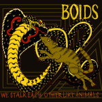 boids