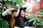 The Courtneys