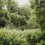 u34n_ScreenShot20140923at80943AM