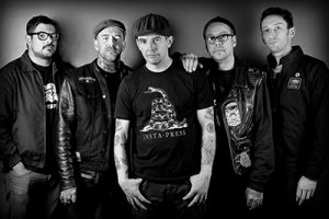 Street Dogs