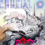 Gnarwhal Crucial