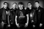 Street Dogs