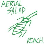 Aerial Salad Roach